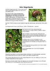 Rote-Wegschnecke-Steckbrief.pdf